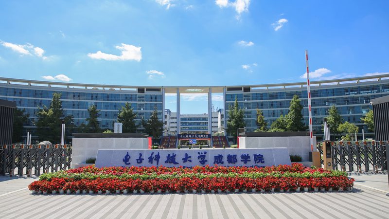 电子元器件安装流程：图解与关键步骤解析